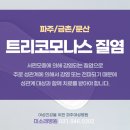 파주상재 이미지