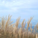 오서산 주차장 화장실 이미지