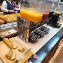 씨크루즈호텔속초 이미지