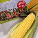 착한농부 | 여름간식으로 딱! 당일수확 더착한농부 해남초당옥수수 후기
