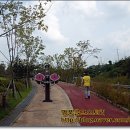 화성종합경기타운 씨름장 이미지