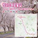 벚꽃주유소 이미지