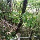 수망리청년회 이미지