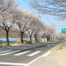 신곡약수터 이미지