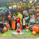 망월로 | 의정부 할로윈 카페 나크타 애견동반 가능하여 강아지와 함께 다녀온 후기