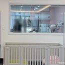 개. 이쁜날 이미지