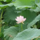 구미중앙로45길-4 이미지