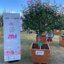 산림환경연구원 네이버블로그