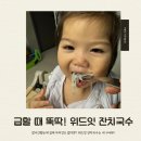 강동 국수 한그릇 | 아이 외출, 여행 필수템 추천! 위드잇 잔치국수 한 그릇 솔직후기