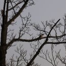 안양판교로 이미지