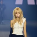 홀리