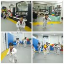 화이트타이거태권도장 이미지