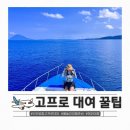 고프로 | 인천공항 고프로 대여 비용 후기 물놀이 해외여행 준비물 필수