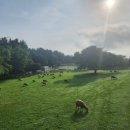 평화목장2 이미지