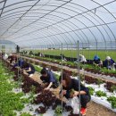 산좋고물좋고 이미지