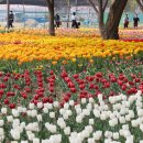 중랑천 산책로 이미지