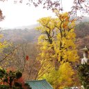 은행약수터 이미지