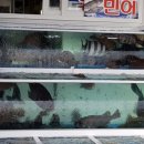 신안천사수산 이미지