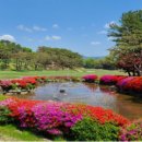 뉴코리아실외 이미지