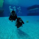 스쿠버월드 이미지