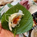 갈매중학교 | 갈매동 맛집 갈매어시장 통통하고 신선한 모둠회 후기
