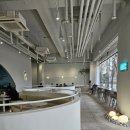 GS25성남대로점 | 디저트39 크로칸슈 도쿄롤 휘낭시에 순수우유 깨찰빵 우유크림 소금빵 후기