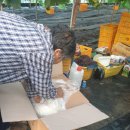 샤인농장 이미지