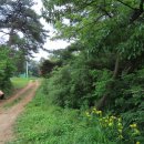 역사힐링길 이미지