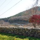 미숙목장 이미지