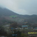 재식목장 Daum카페