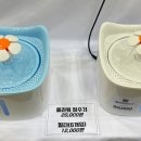 플라워펫 이미지