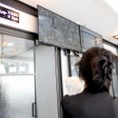 뉴타운동물병원 이미지