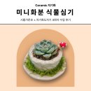 조형도자기 | [화분 꾸미기]직접 만든 도자기 화분에 식물심기feat.화분악세사리_4회차