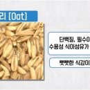 휘트니스트렌드 이미지