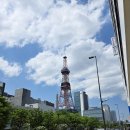 멜론 소프트 | [일본 여행] 삿포로 맥주 박물관 테이스팅 세이코마트 멜론 소프트 아이스크림 삿포로 팩토리 후기