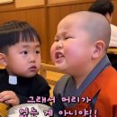 동자승과 대화 😊 이미지