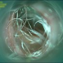 다산동물병원 이미지