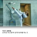 한국체육대학교K태권도 이미지