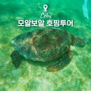 세부 모알보알 호핑투어 로컬페이지 오모팩 샤워 점심