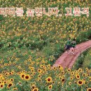 주원항공여행사 이미지