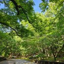 계룡산콘도텔 | 동학사 계룡산 등산 코스 (무풍교 - 은선폭포 - 관음봉)