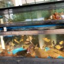 반야호횟집 이미지