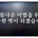 포항전문장례