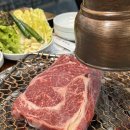 영사이언스 이미지