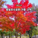 세븐일레븐 의왕레솔레파크점 | 의왕레솔레파크 왕송호수공원 가을산책 의왕레일바이크 시간 예약 주차