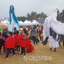 청송이사과