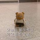 개강하고 어떻게 지냈냐면,