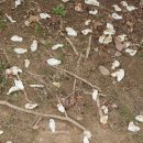 목련약국 이미지