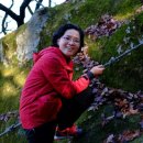 화창사우나 이미지