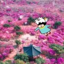 연세봄건강식품